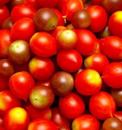 Bunch of red tomatoes with a yellow spot on them. There are many of them. They are all redの写真素材