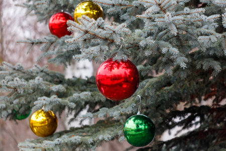 A Christmas tree with red, green, and yellow ornaments. The tree is covered in green leaves