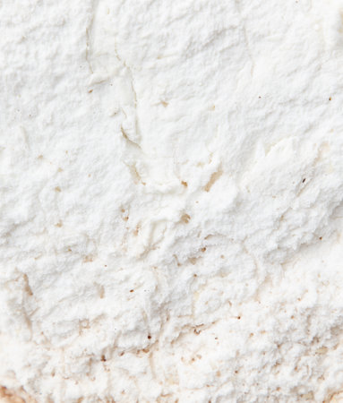 White flesh of a mushroom as an abstract background.の写真素材