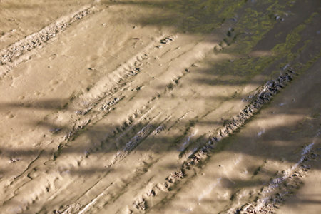 The road is covered in mud and has tire tracks from vehicles driving on it. The tracks are clearly...