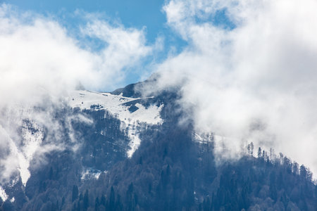 Mountain covered in snow and trees. The sky is cloudy. The clouds are white and grayの写真素材