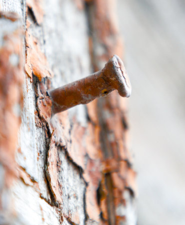 A nail sticking out of a wall. The nail is rusty and has a pointy end. The wall is made of wood and has some paint peeling offの写真素材