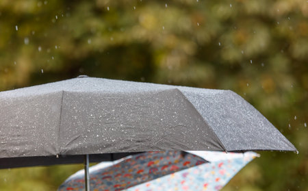 A black umbrella with a white pattern is being used in the rain. There are two other umbrellas in...