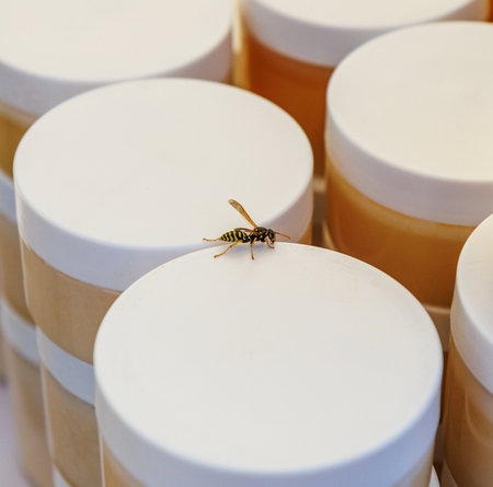 A yellow and black wasp is on top of a white jar. There are many jars in the background