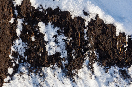 A patch of dirt with snow on top. The dirt is brownの写真素材