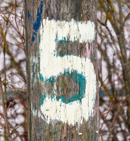A wooden pole with the number 5 painted on it. The number is white and blue. The pole is surrounded by treesの写真素材
