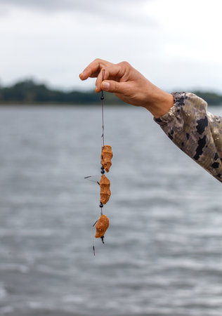 A person is holding a fishing line with three pieces of food on it.の写真素材