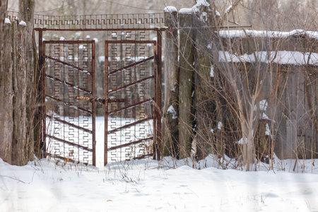 A gate is open in the snow. The gate is rusted and has a metal design. The gate is located in a wooded areaの写真素材