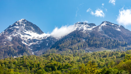 The mountains are covered in snow and the sky is clear. The trees are green and the mountains are...