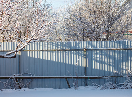 A fence is covered in snow. The fence is next to a tree. The tree is bareの写真素材