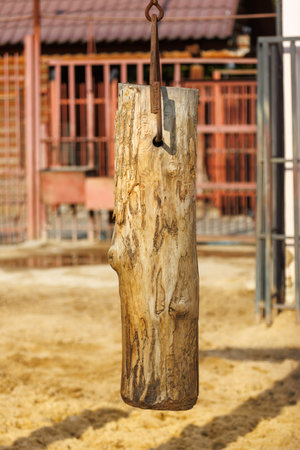 A wooden log is hanging from a chain. The log is brown and has a few holes in itの写真素材