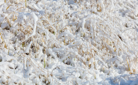 A field covered in snow and grass. The snow is white and the grass is brownの写真素材