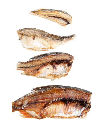Four fish fins are shown in a row. The fins are brown and have a lot of textureの写真素材