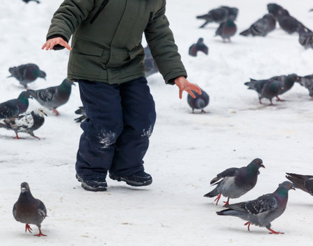 A person is standing in the snow with their hands out, and a flock of pigeons are gathered around themの写真素材