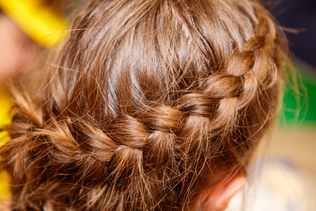 A girl with brown hair has a braid on her head. The braid is in a crown shape
