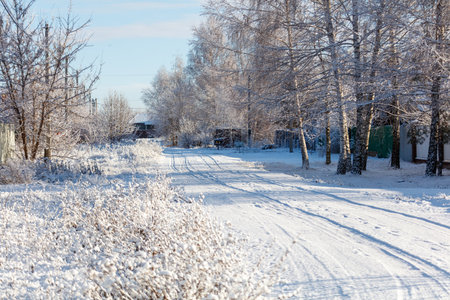 A snowy road with a few trees in the background. The road is empty.の写真素材
