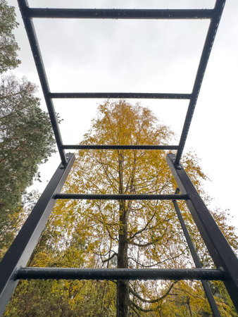 A ladder is seen from the side with a tree in the background. The ladder is black and has a metal...