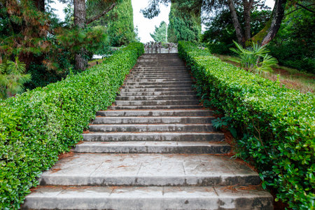 A stone staircase with bushes on either side. The bushes are green and trimmed. The steps are made of concreteの写真素材