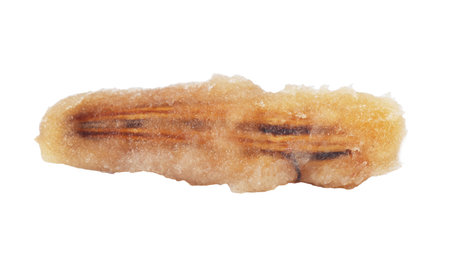 Date pit isolated on white background. Close-up.の写真素材