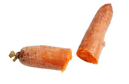 Two pieces of carrot are cut in half. One piece is whole and the other is cut in halfの写真素材