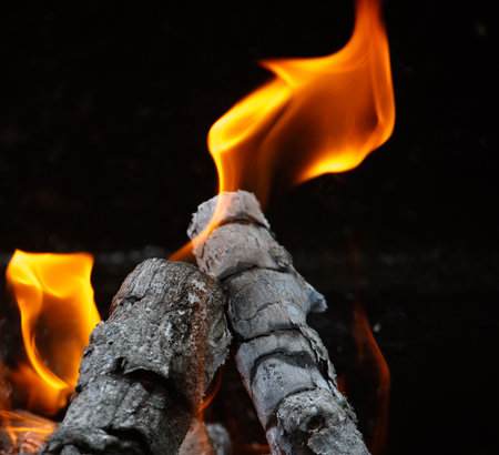 Fire flame on black background.の写真素材