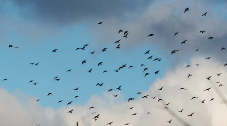 A flock of birds flying in the sky. The sky is blue with some clouds. The birds are flying in...