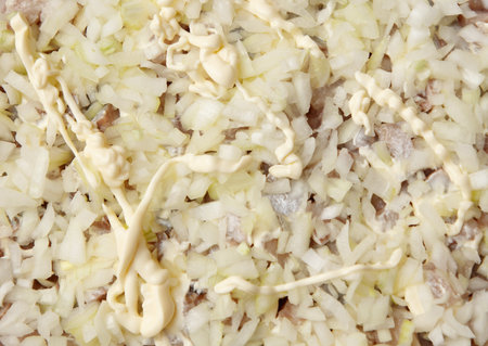 A pizza with cheese and onions on top. The cheese is spread out and the onions are scattered throughout the pizzaの写真素材