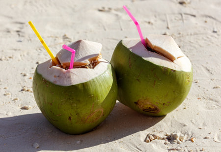 Two green coconuts with straws in them. One is on the left and the other is on the rightの写真素材