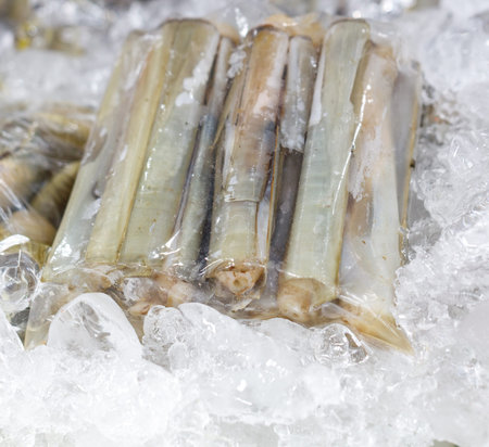 A bag of frozen clams is sitting on a block of ice. The clams are in a plastic bag and are frozen solid. The bag is placed on top of the ice block, which is also covered in iceの写真素材