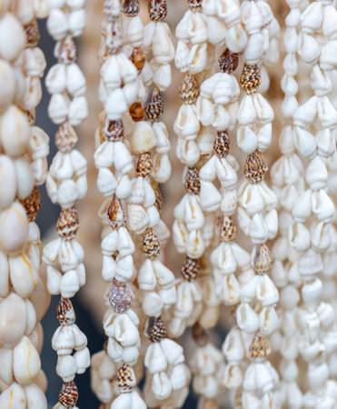A row of shells hanging from a string. The shells are white and brown