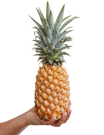 A person is holding a pineapple. The pineapple is yellow and has a brown spot on it. The pineapple is in the person's handの写真素材