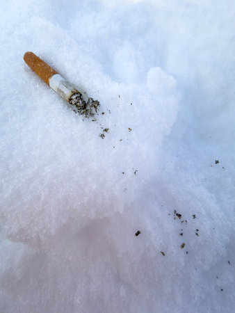 A cigarette butt is on the snow. The butt is white and has a gray tipの写真素材