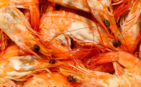 A bunch of shrimp are sitting on a plate. They are all different sizes and are all orange