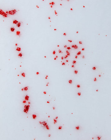 Red drops of blood on white snow as a background.の写真素材