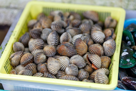 A yellow basket filled with small shells. The shells are white and brown. There are many shells in...