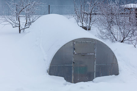 A greenhouse is covered in snow. The door is open. The snow is piled on the roof