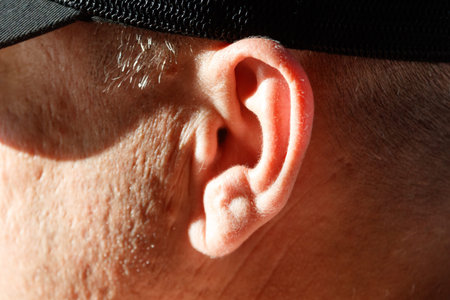 Close-up of human ear under bright sunlight. Ear shows natural skin texture and soft lighting. Black cap casts subtle shadow on surrounding skin. Sunlight highlights ear's contours