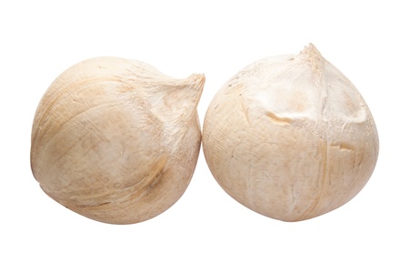 2 young coconuts isolated on white backgroundの写真素材
