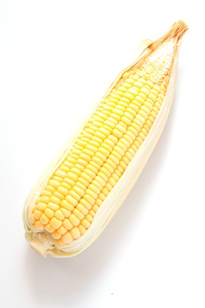 fresh corn on the cobの写真素材