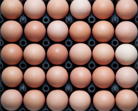 close up of eggs in black plastic container, top shotの写真素材