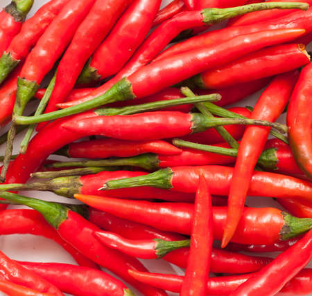 red chilly peppers in thai cuisineの写真素材