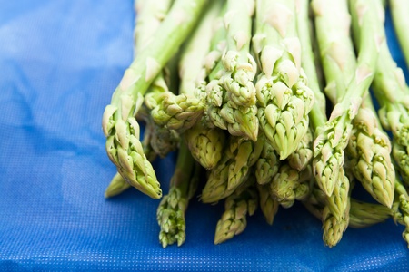 fresh green asparagus tips on blue backgroundの写真素材