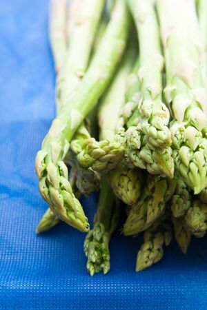 fresh green asparagus tips on blue backgroundの写真素材