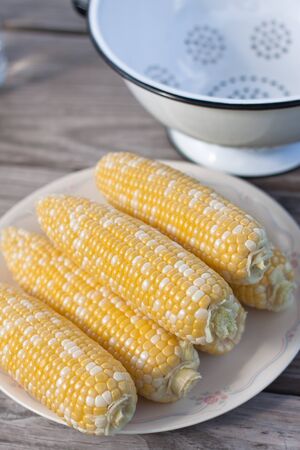 Sweet corn on plate for BBQ partyの写真素材