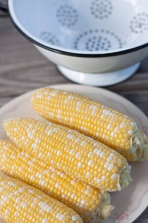 Sweet corn on plate for BBQ partyの写真素材