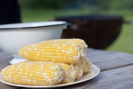 Fresh sweet corn on plate for BBQ partyの写真素材