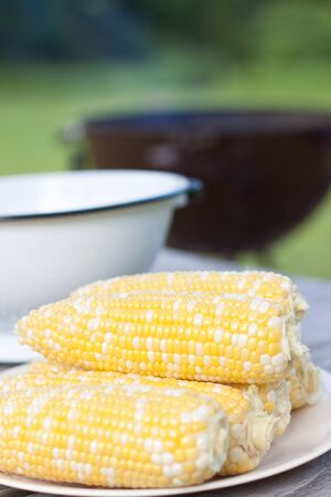 Fresh corns on white plateの写真素材