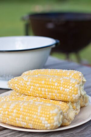Fresh corns on white plateの写真素材