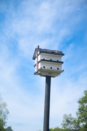 Bird house with blue sky in the cloudy dayの写真素材