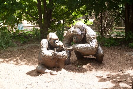 Statue of two gorillas in zooの写真素材